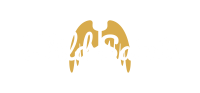 Wild Saints logo